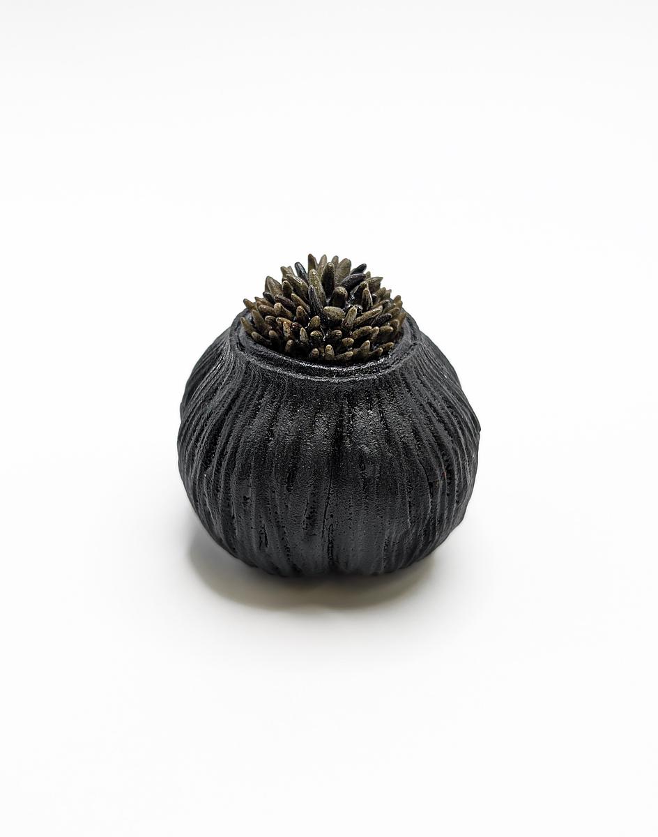 Pod