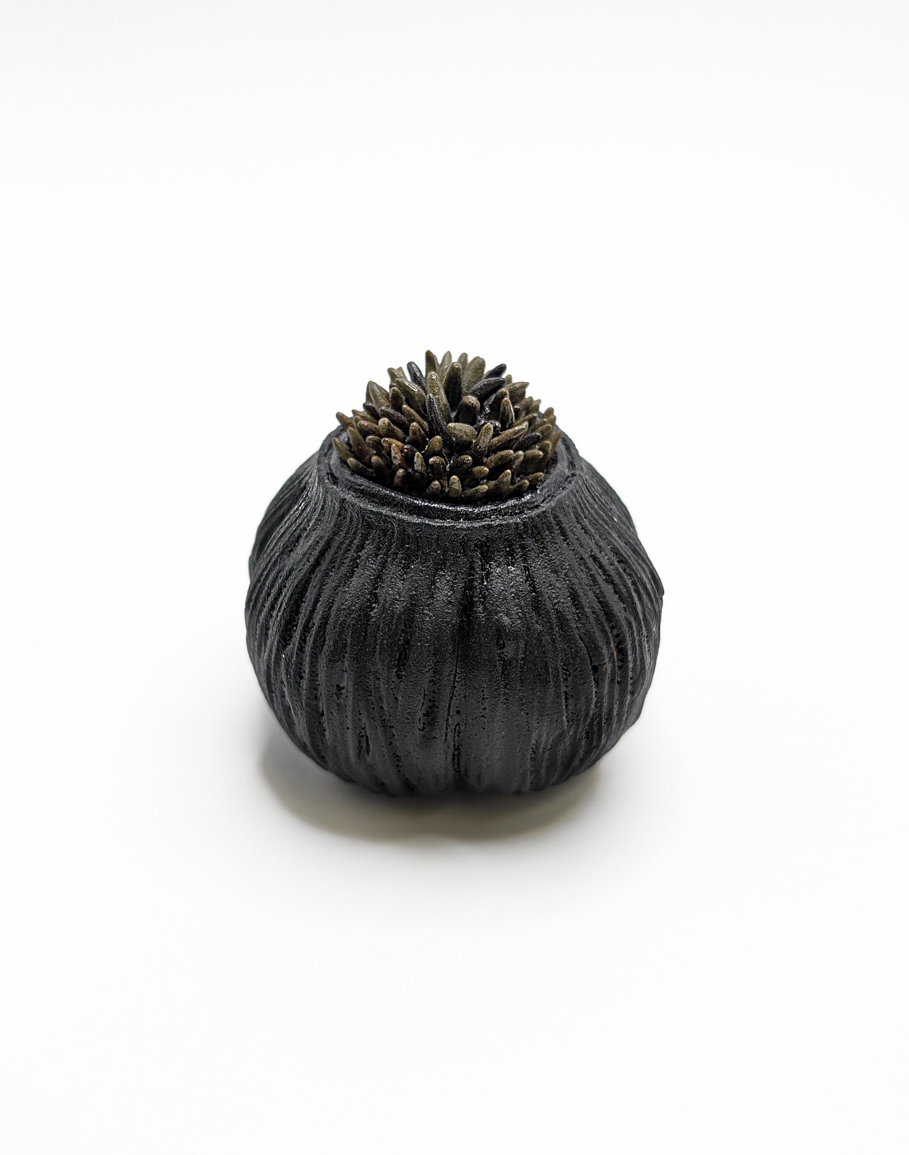 Pod