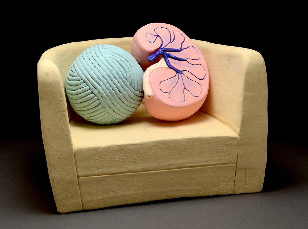 Anamnesis
